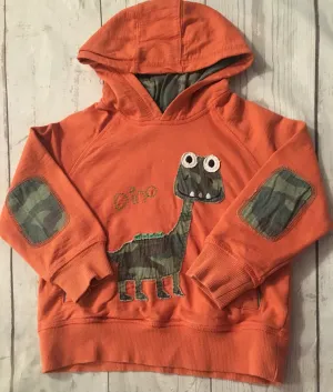 2-3 Years Dino Hoodie