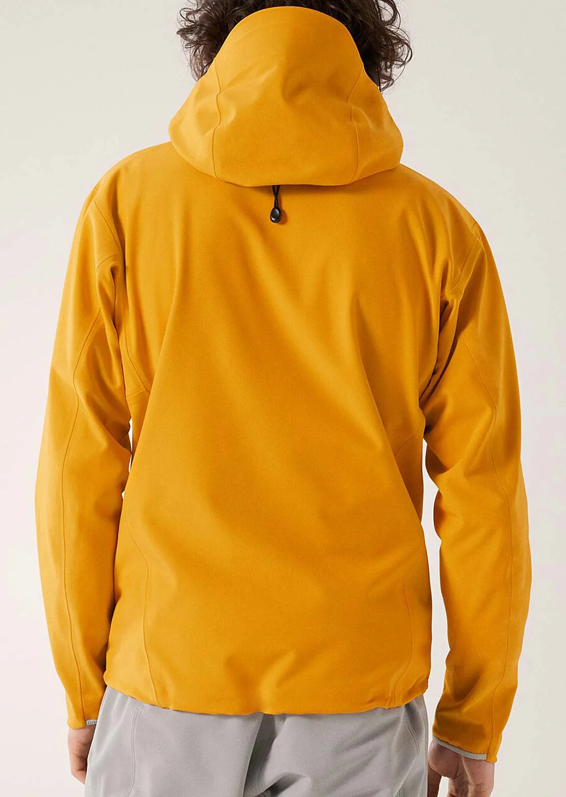 Arc'teryx Men's Gamma MX Hood