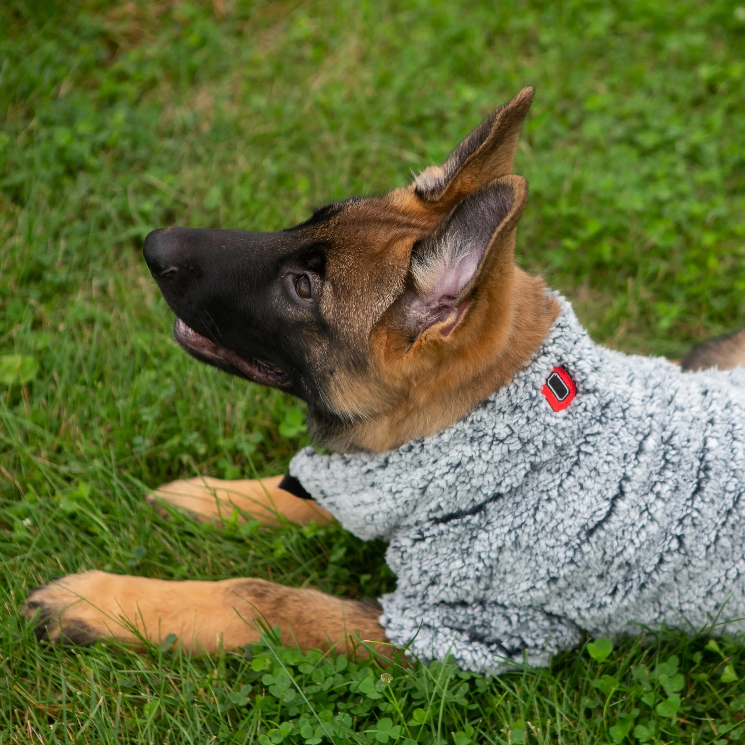 The Worthy Dog OSU Wubby Fleece Quarter Zip for Dogs