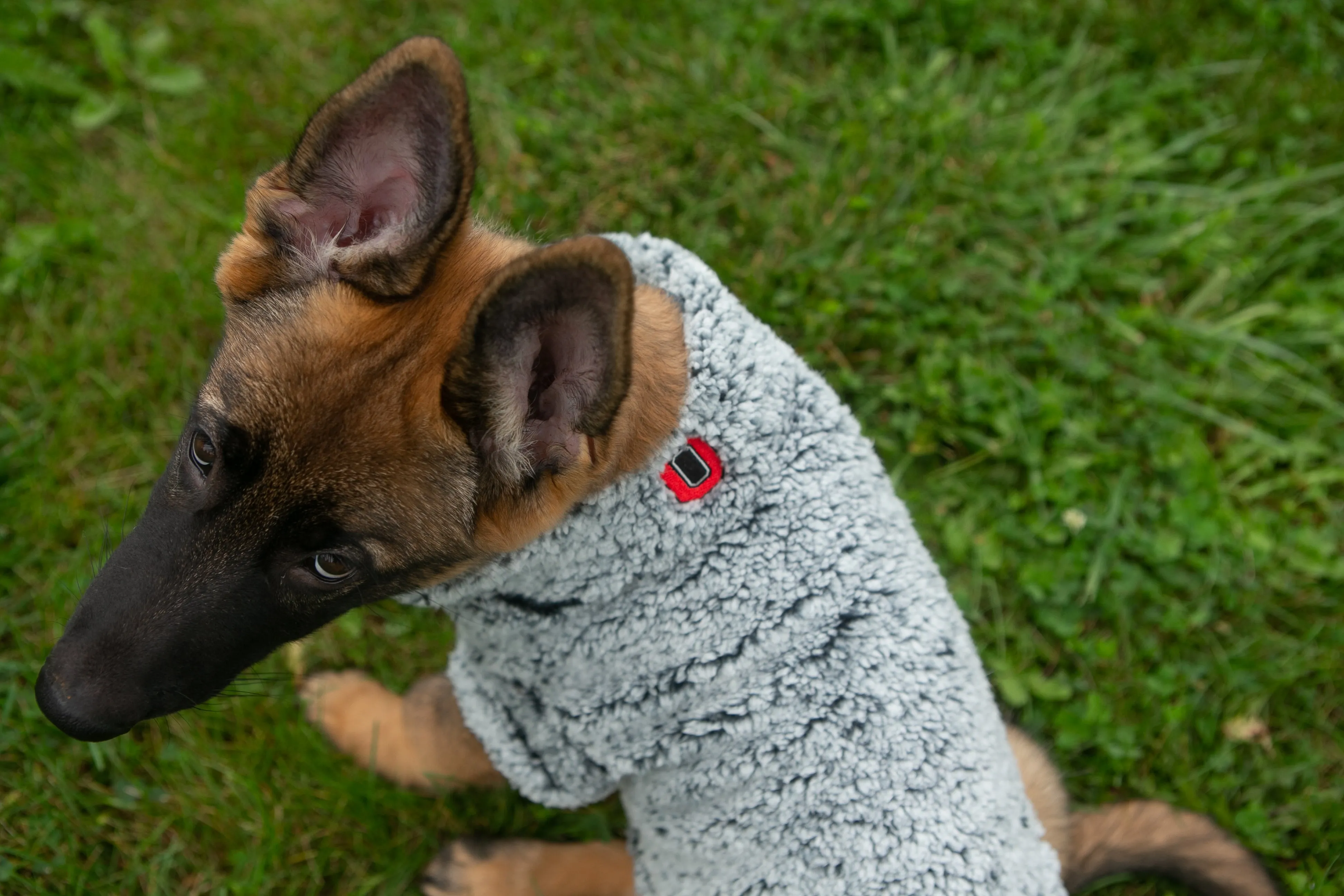 The Worthy Dog OSU Wubby Fleece Quarter Zip for Dogs